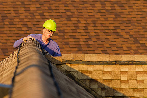 Best Roof Gutter Cleaning  in Crownsville, MD